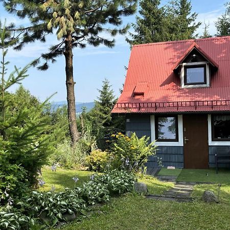 Chata Pietraszyna Koniaków Εξωτερικό φωτογραφία