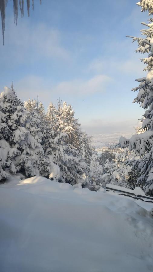Chata Pietraszyna Koniaków Εξωτερικό φωτογραφία